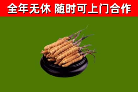 竹山县烟酒回收冬虫夏草.jpg